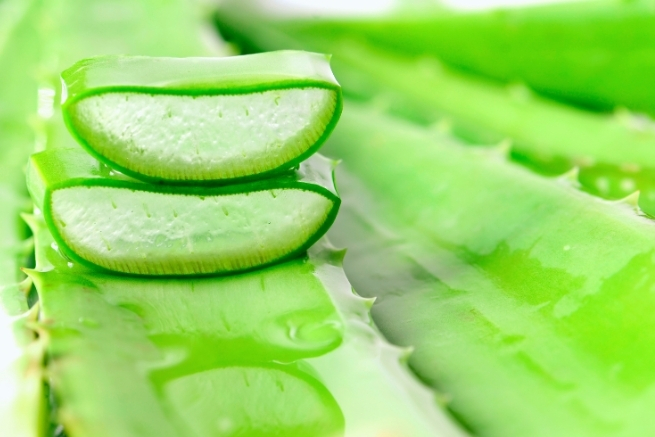 Czysty miąższ z aloesu w pięlęgnacji delikatnej skóry